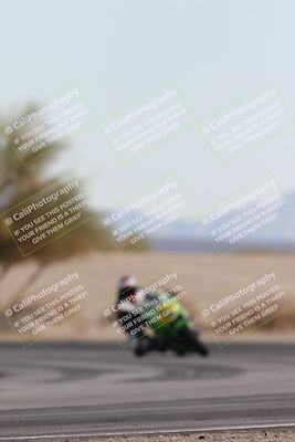 media/Nov-30-2025-TrackXperience (Sun) [[c0061d280f]]/2-Level 2/Session 6 Turn 4 Tree of Life/